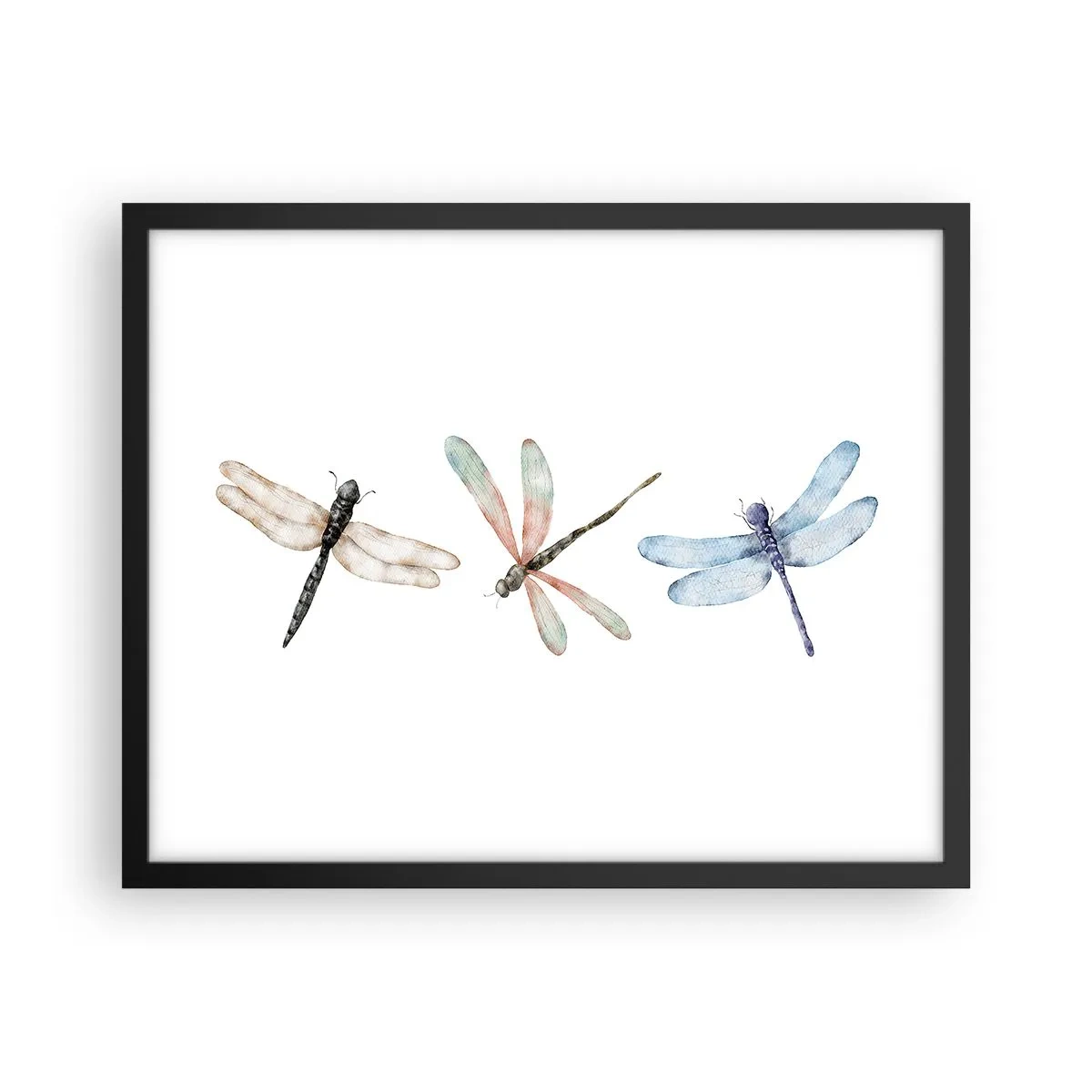 Poster in einem schwarzem Rahmen - Schwerelose Libellen - 50x40 cm