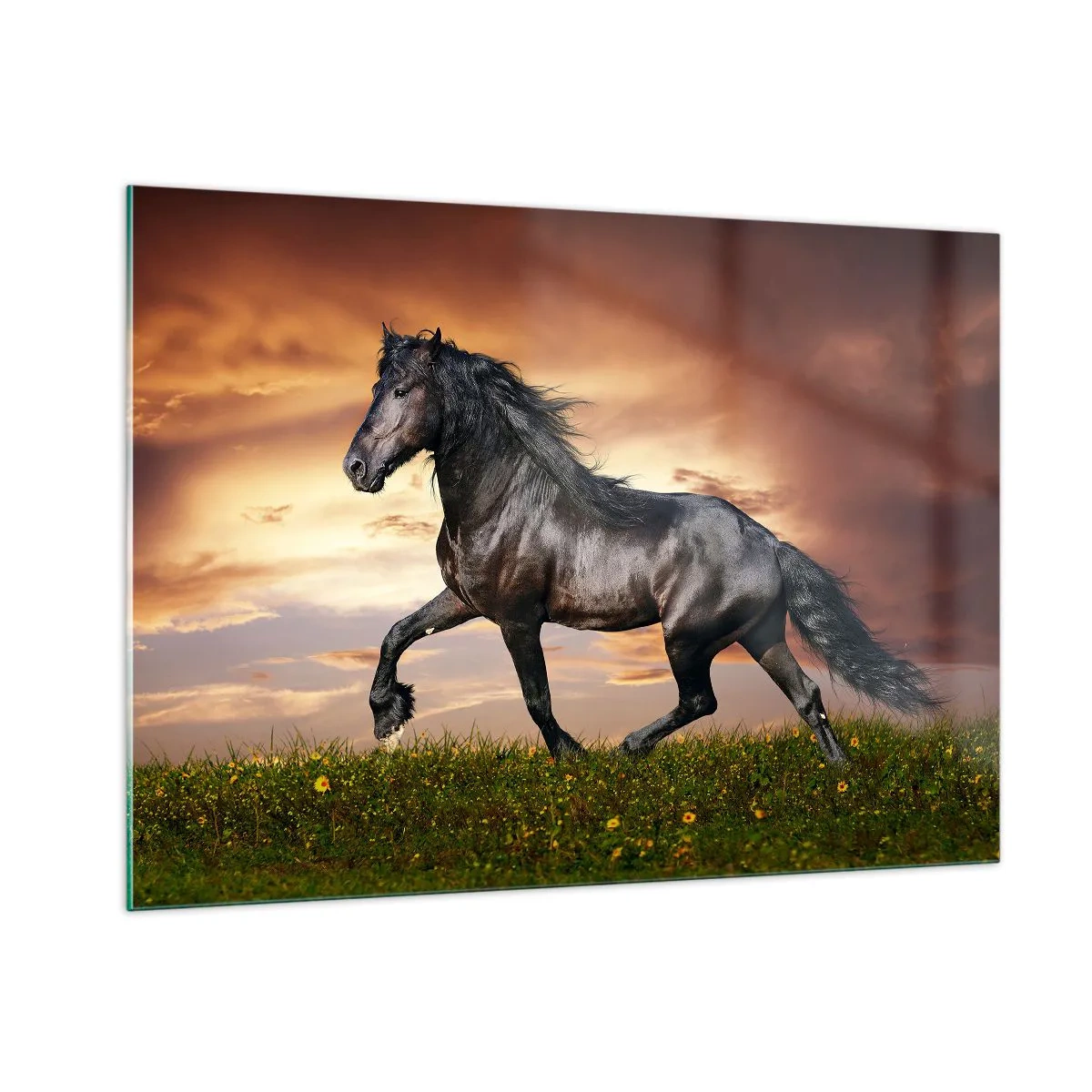 Glasbild - Bild auf glas - Ein schwarzes Pferd galoppiert gegen die untergehende Sonne - 100x70cm - Schwarzer Prinz - Moderne Wanddekoration für Wohnzimmer und Schlafzimmer ARTTOR