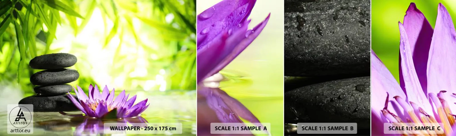 Fototapetenmuster Standard Eco - In einem Bambusbusch - Blume, Lotus Blume, Bambus - 100x30 cm