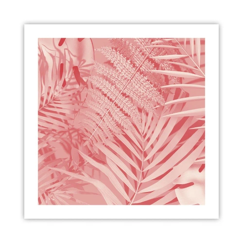 Poster - Rosa Konzept - 50x50 cm