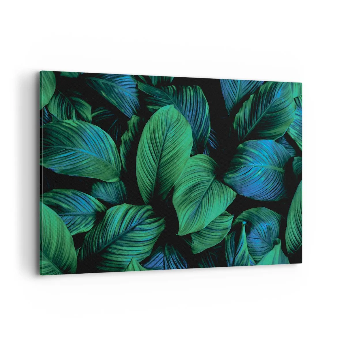 Bild auf Leinwand - Leinwandbild - Grüne Blätter im minimalistischen Stil - 100x70cm - In der grünen Menge - Moderne Wanddekoration für Wohnzimmer und Schlafzimmer ARTTOR