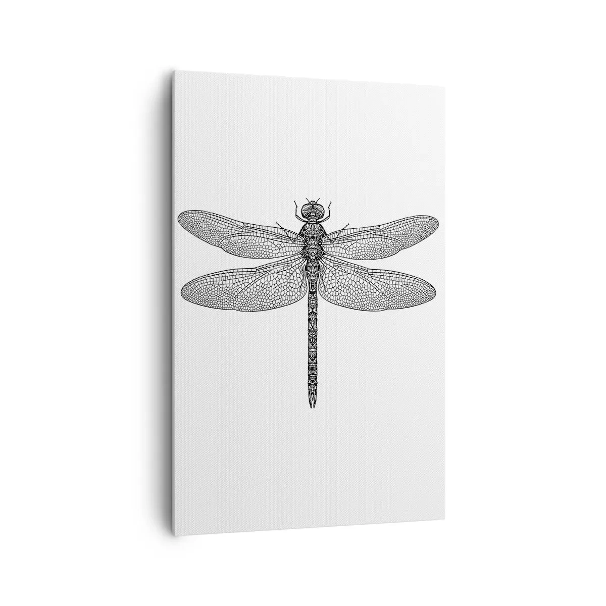 Bild auf Leinwand - Leinwandbild - Schwarz-weiße Zeichnung einer Libelle auf weißem Hintergrund im minimalistischen Stil - 80x120cm - Präzision der Natur - Moderne Wanddekoration für Wohnzimmer und Schlafzimmer ARTTOR