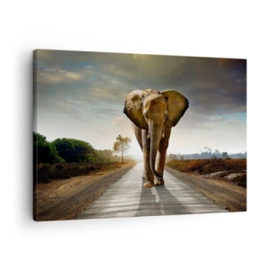 Bild auf Leinwand - Leinwandbild - Ein Elefant, der bei Sonnenuntergang auf einer Straße durch eine Landschaft läuft - 70x50cm - Und schon gar nicht in einem Porzellanlager - Moderne Wanddekoration für Wohnzimmer und Schlafzimmer ARTTOR