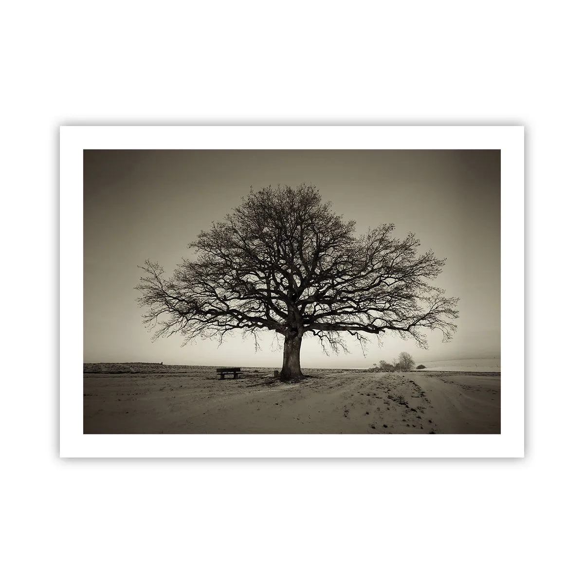 Poster - Von hier zu Ewigkeit - 70x50 cm