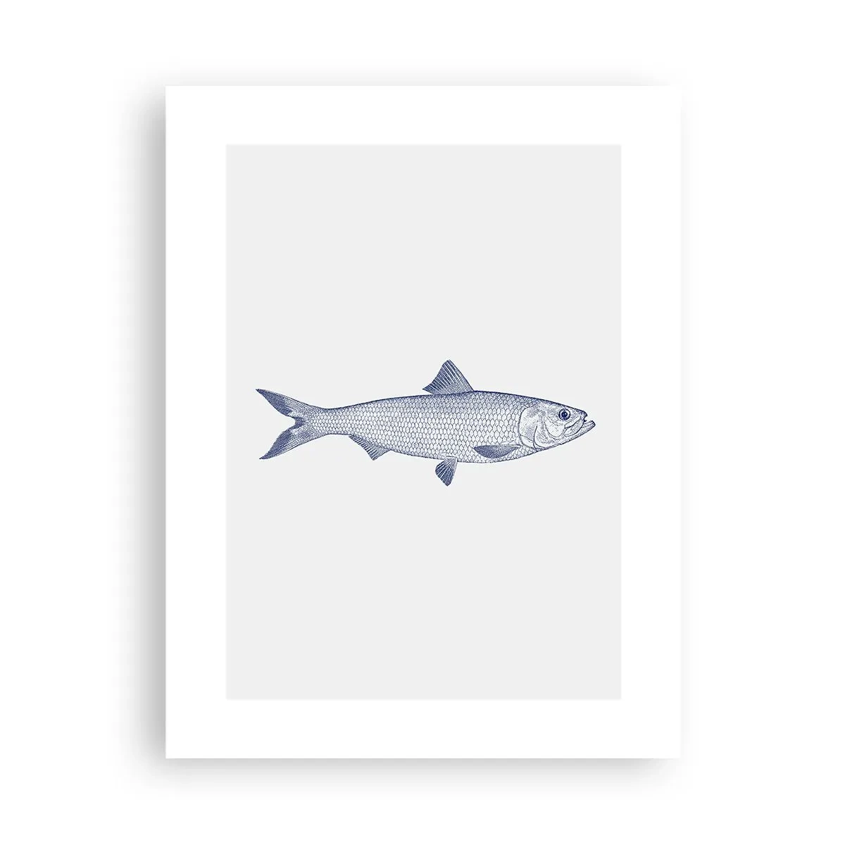 Poster - Grüße aus den nördlichen Meeren - 30x40 cm