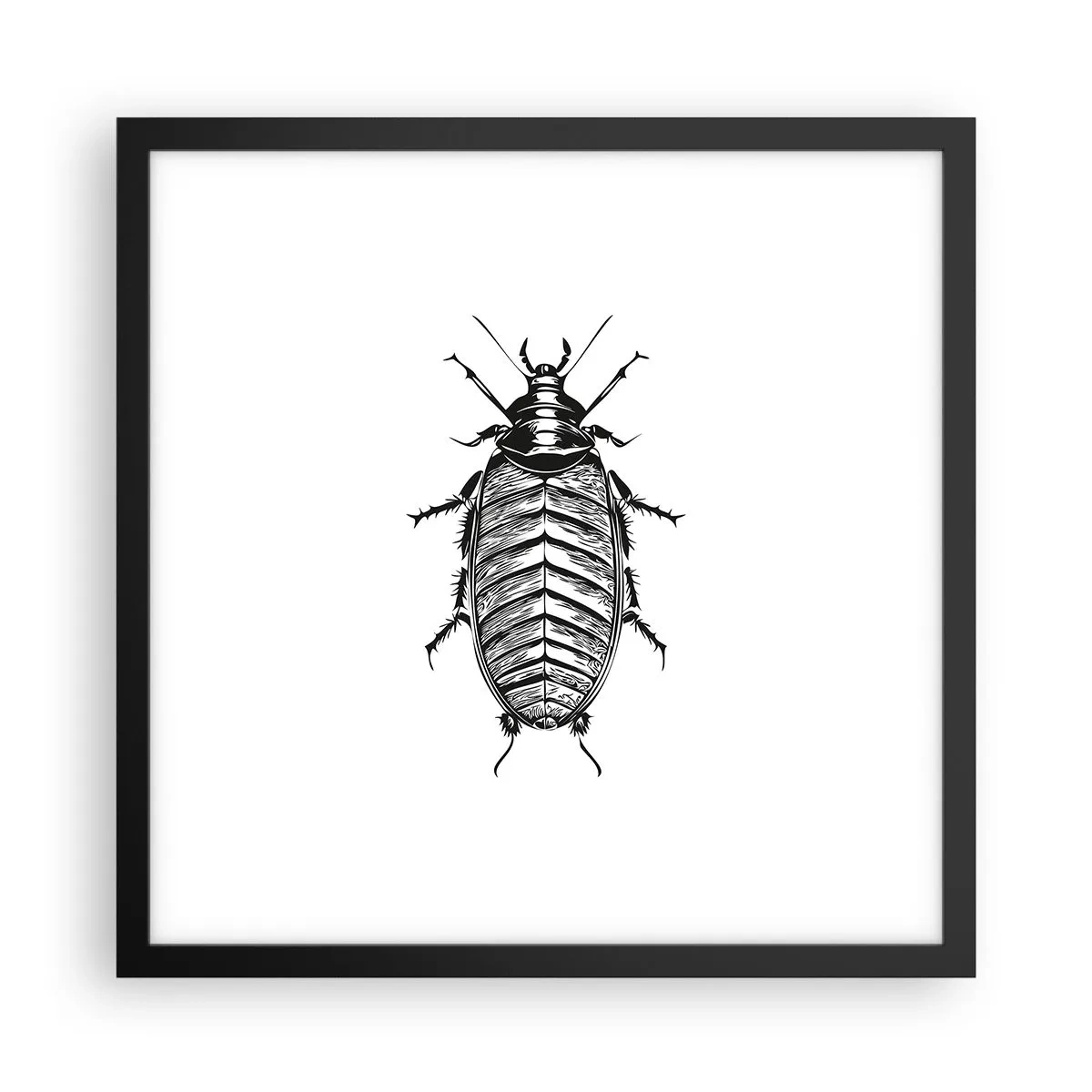 Poster in einem schwarzem Rahmen - Was für ein Exemplar! - 40x40 cm