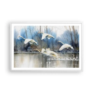 Poster in einem weißen Rahmen - Wie im Märchen von den wilden Schwänen - 91x61 cm