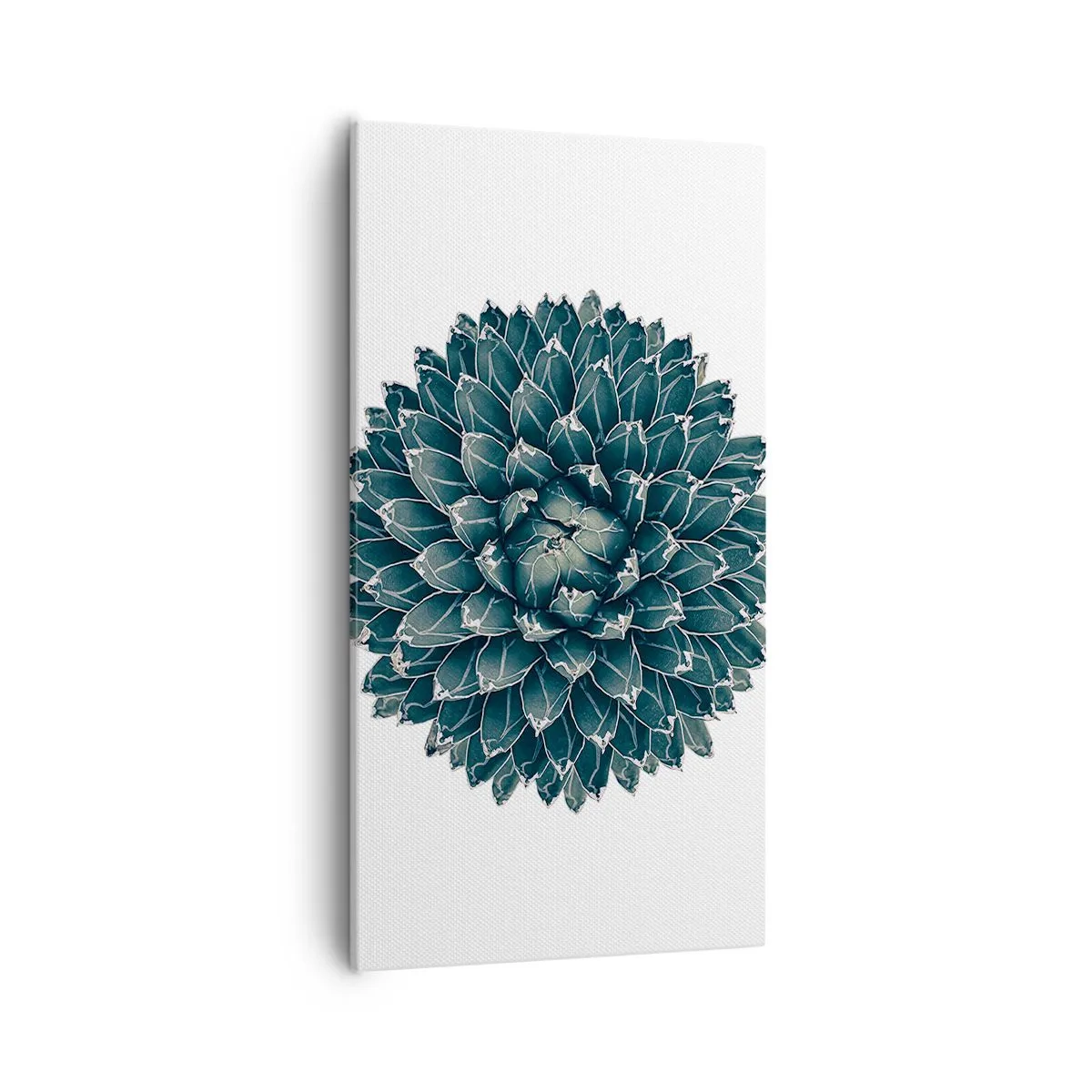 Bild auf Leinwand - Leinwandbild - Stern der Wüste - 55x100 cm