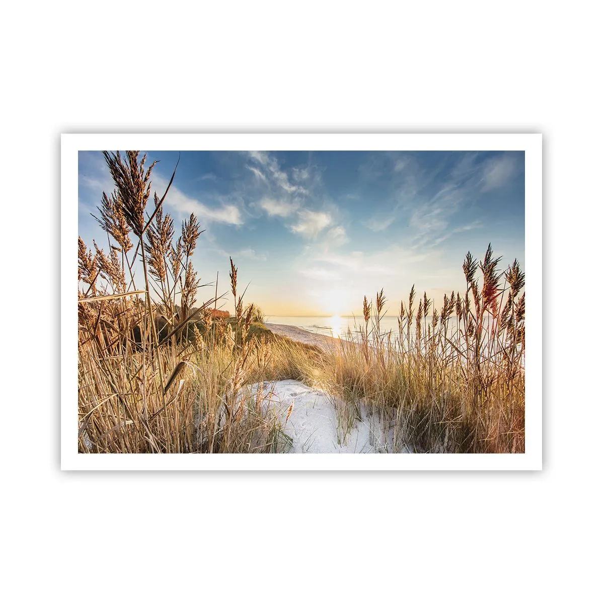 Poster - Ein malerischer Strand mit Gras und untergehender Sonne - 100x70cm - Nordstrand - Moderne Wanddekoration für Wohnzimmer und Schlafzimmer ARTTOR