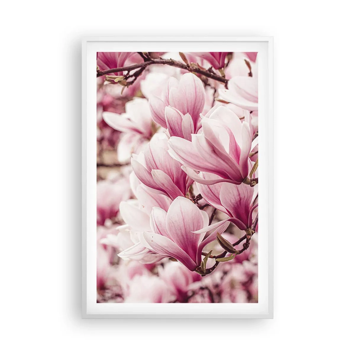 Poster in einem weißen Rahmen - Frühling ist rosa - 61x91 cm