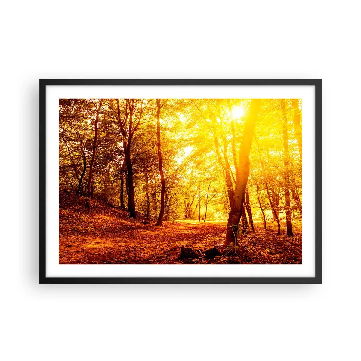 Poster in einem schwarzem Rahmen - Herbstlichtung im goldenen Sonnenlicht mit einem Waldweg - 70x50cm - Auf die goldene Lichtung - Moderne Wanddekoration für Wohnzimmer und Schlafzimmer ARTTOR