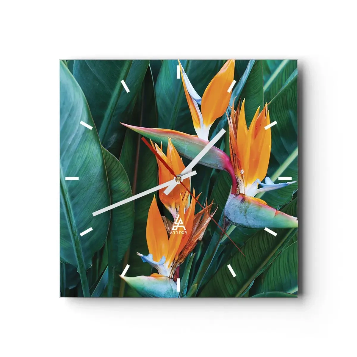 Wanduhr - Glasuhr - Exotische Strelitzienblüten, umgeben von grünen Blättern - 30x30cm - Ist es eine Blume oder ist es ein Vogel? - Moderne Wanddekoration für Wohnzimmer und Schlafzimmer ARTTOR