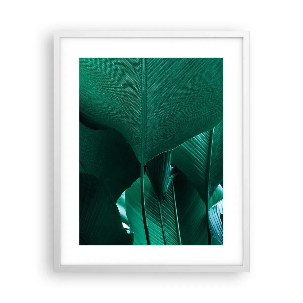 Poster in einem weißen Rahmen - Dem Licht zugewandt - 40x50 cm