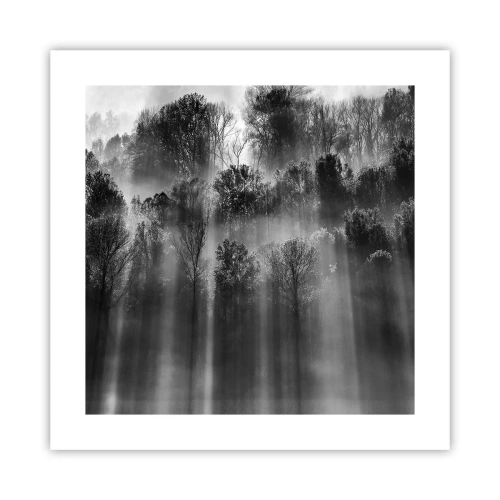 Poster - In Lichtstrahlen - 40x40 cm