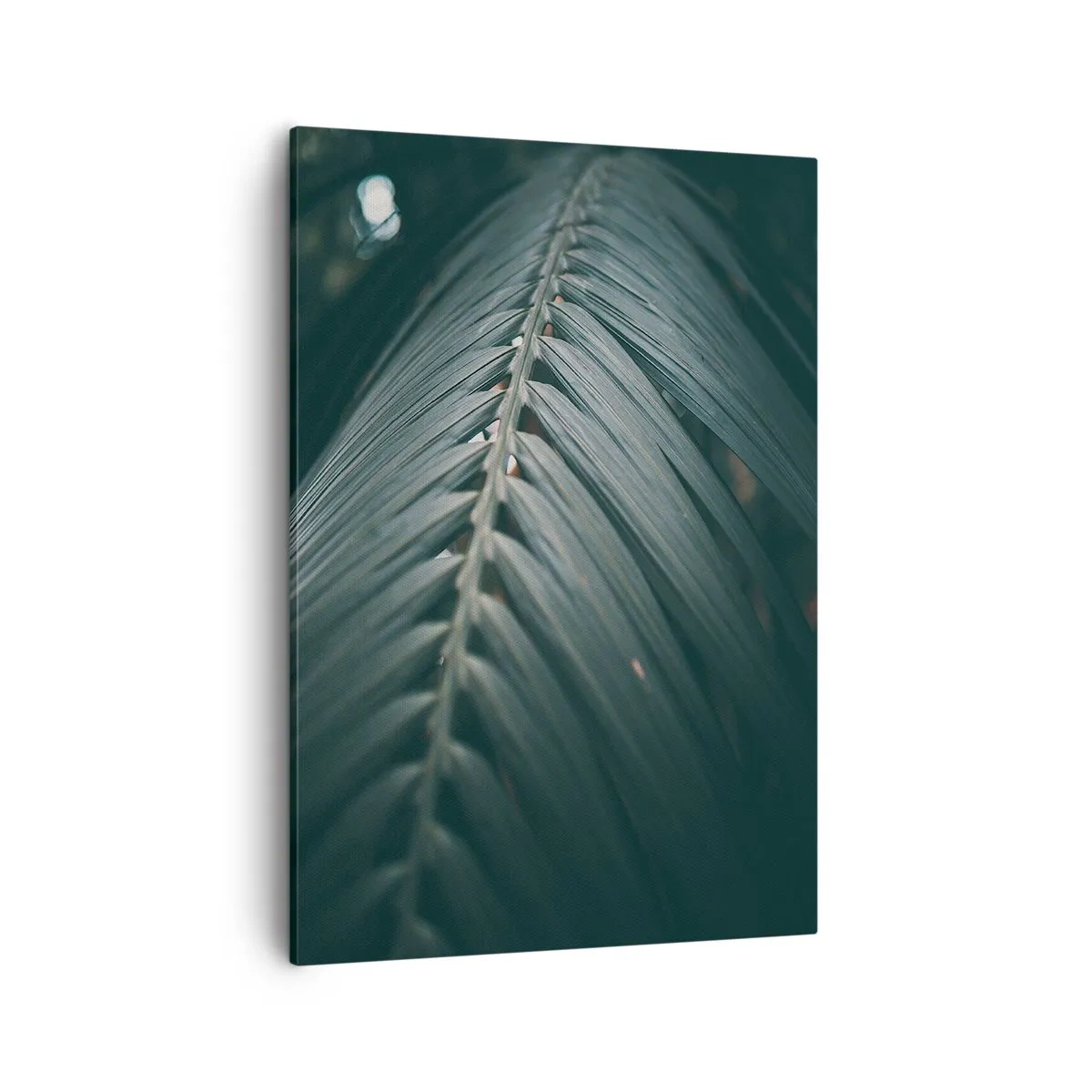 Bild auf Leinwand - Leinwandbild - Nahaufnahme eines dunkel getönten Palmblattdetails - 50x70cm - Die Präzision der Natur - Moderne Wanddekoration für Wohnzimmer und Schlafzimmer ARTTOR