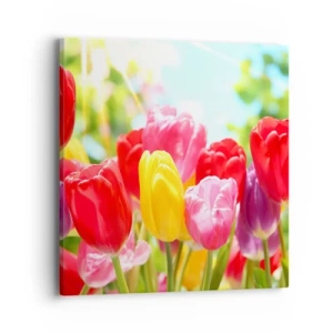 Bild auf Leinwand - Leinwandbild - Wir sind es, die Farben des Mais! - 40x40 cm