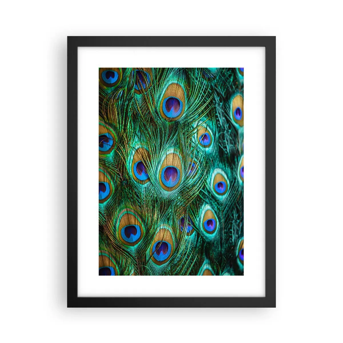 Poster in einem schwarzem Rahmen - Ein Blick mit Pfauenaugen - 30x40 cm