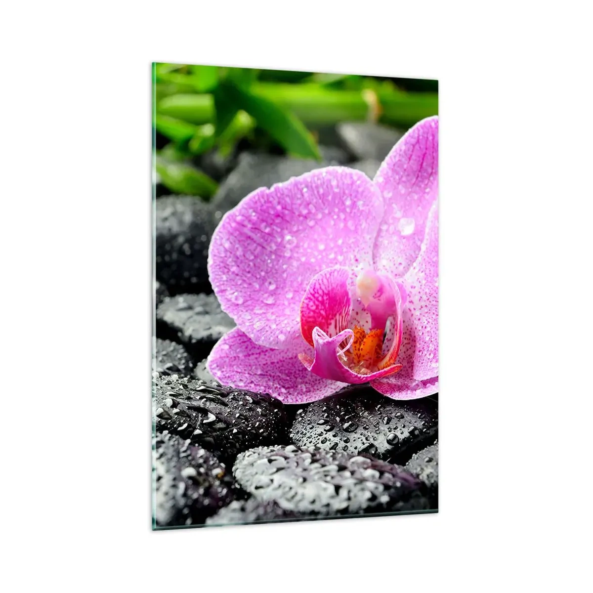 Glasbild - Bild auf glas - Rosa Orchidee auf nassen schwarzen Steinen mit grünen Blättern - 80x120cm - Wie ein offenes Herz - Moderne Wanddekoration für Wohnzimmer und Schlafzimmer ARTTOR