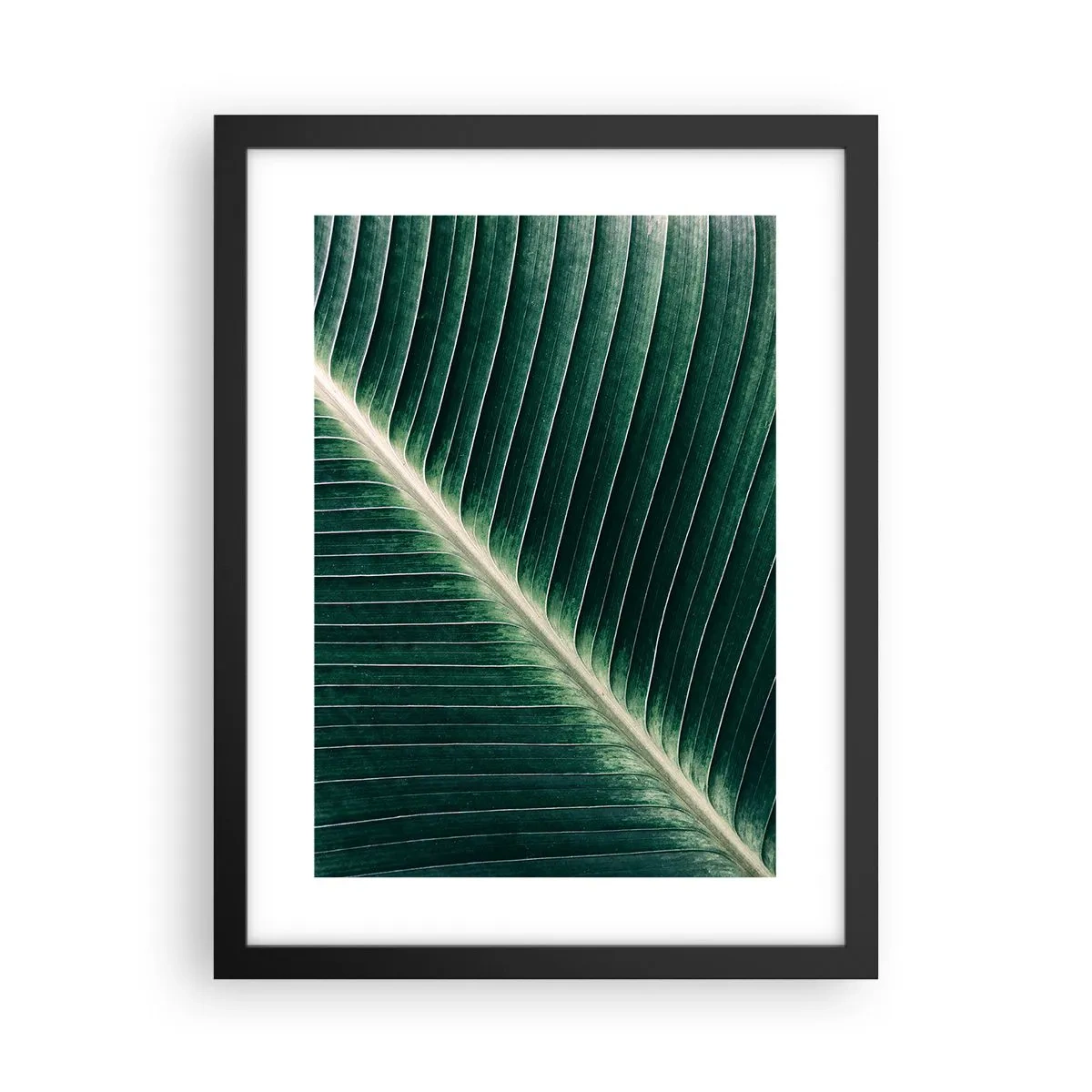 Poster in einem schwarzem Rahmen - Rhythmus der Natur - 30x40 cm