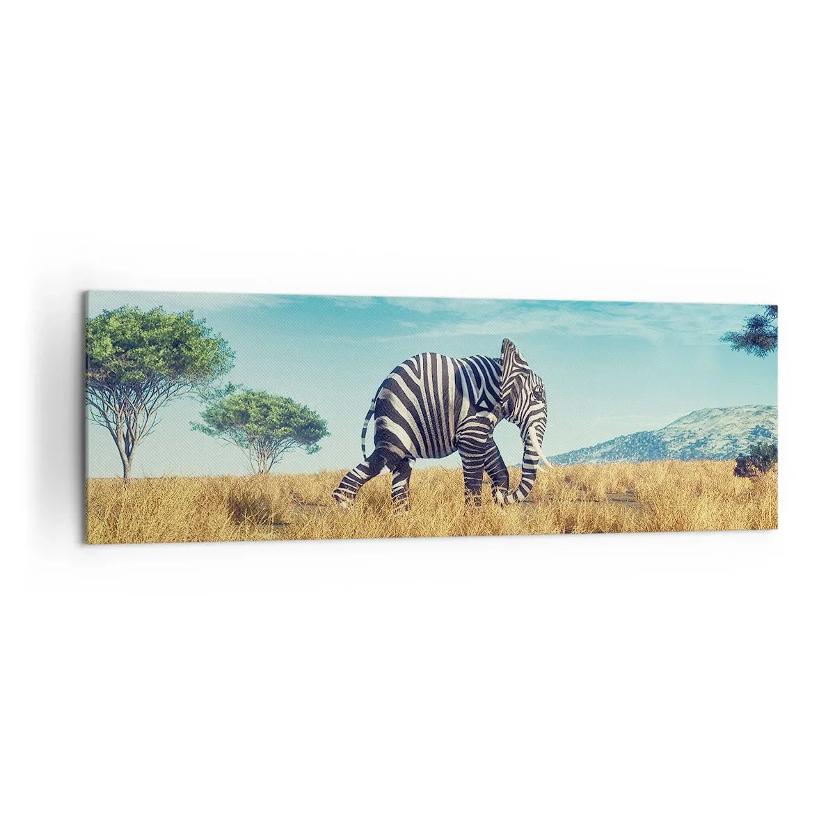 Bild auf Leinwand - Leinwandbild - Zebra in einer afrikanischen Landschaft - 160x50cm - Grau ist nicht mehr in Mode - Moderne Wanddekoration für Wohnzimmer und Schlafzimmer ARTTOR