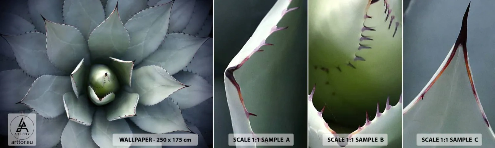 Fototapetenmuster Standard Eco - Es lockt an und warnt - Agavenblüte, Agave, Exotik - 100x30 cm
