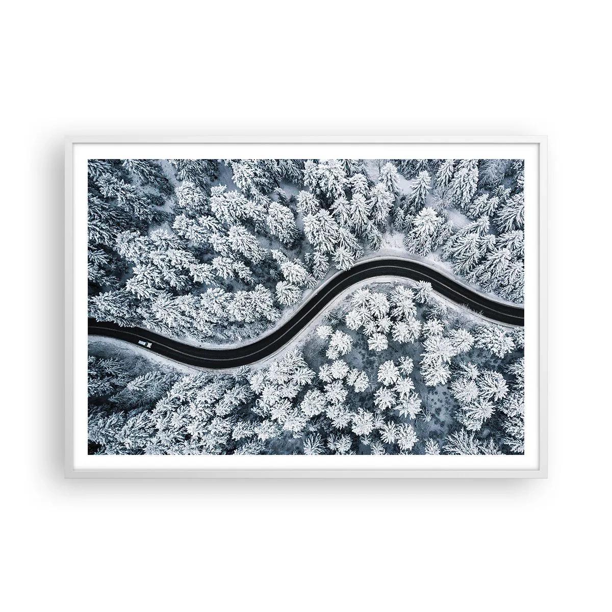 Poster in einem weißen Rahmen - Durch den Winterwald - 100x70 cm