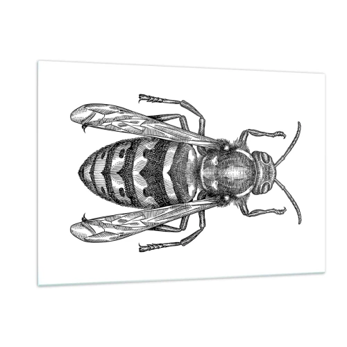 Glasbild - Bild auf glas - Schwarz-weiße Retro-Illustration einer Wespe auf weißem Hintergrund - 120x80cm - Von einem Insektenplaneten - Moderne Wanddekoration für Wohnzimmer und Schlafzimmer ARTTOR