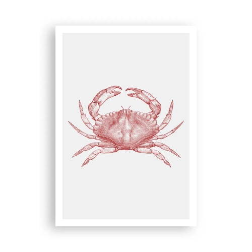 Poster - Krabbe aller Krabben - 70x100 cm