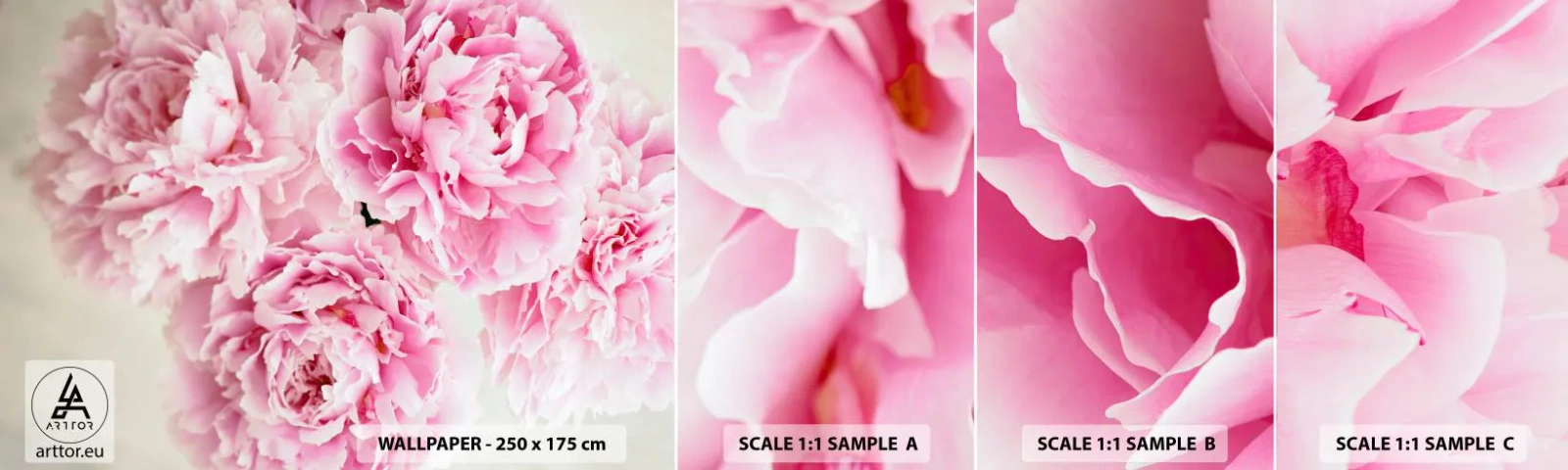 Fototapetenmuster Standard Eco - In rosa Glamour - Pfingstrosen, Blumenstrauß, Blumen - 100x30 cm