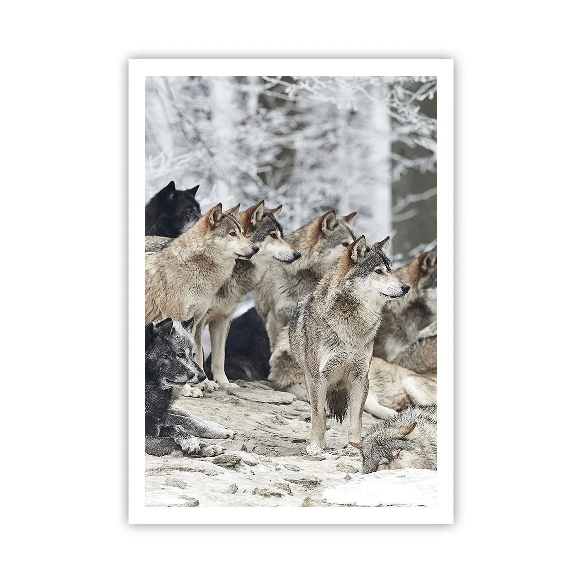 Poster - Familie und Freunde - 70x100 cm