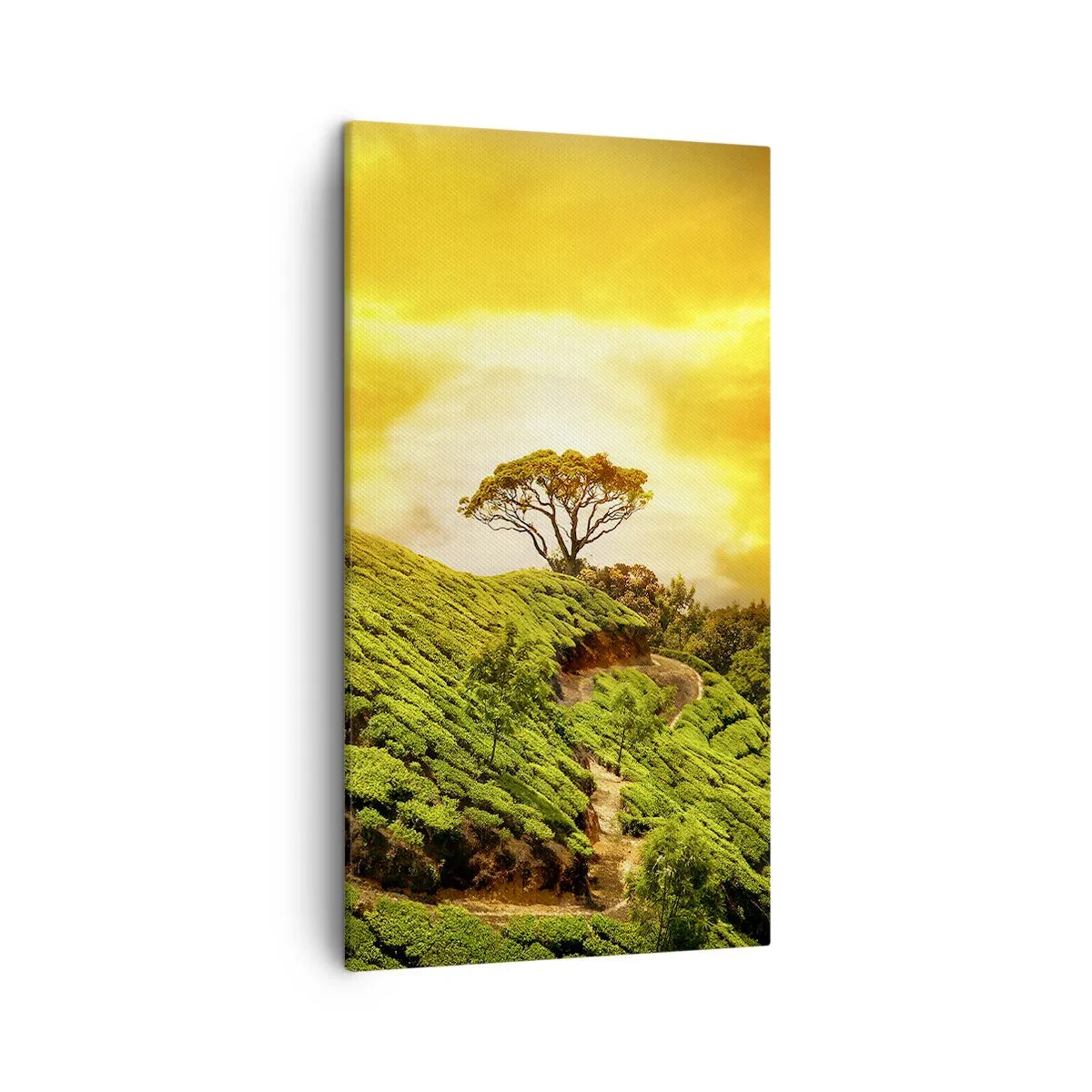 Bild auf Leinwand - Leinwandbild - Ein gewundener Weg, ein grüner Hang - 45x80 cm