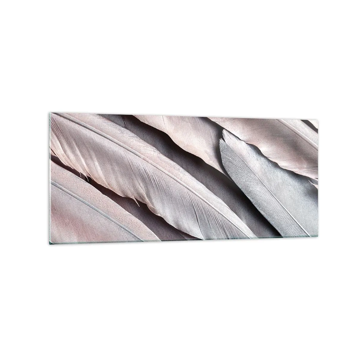 Glasbild - Bild auf glas - Zarte Federn in dezenten Grau- und Beigetönen - 120x50cm - In rosa Silber - Moderne Wanddekoration für Wohnzimmer und Schlafzimmer ARTTOR