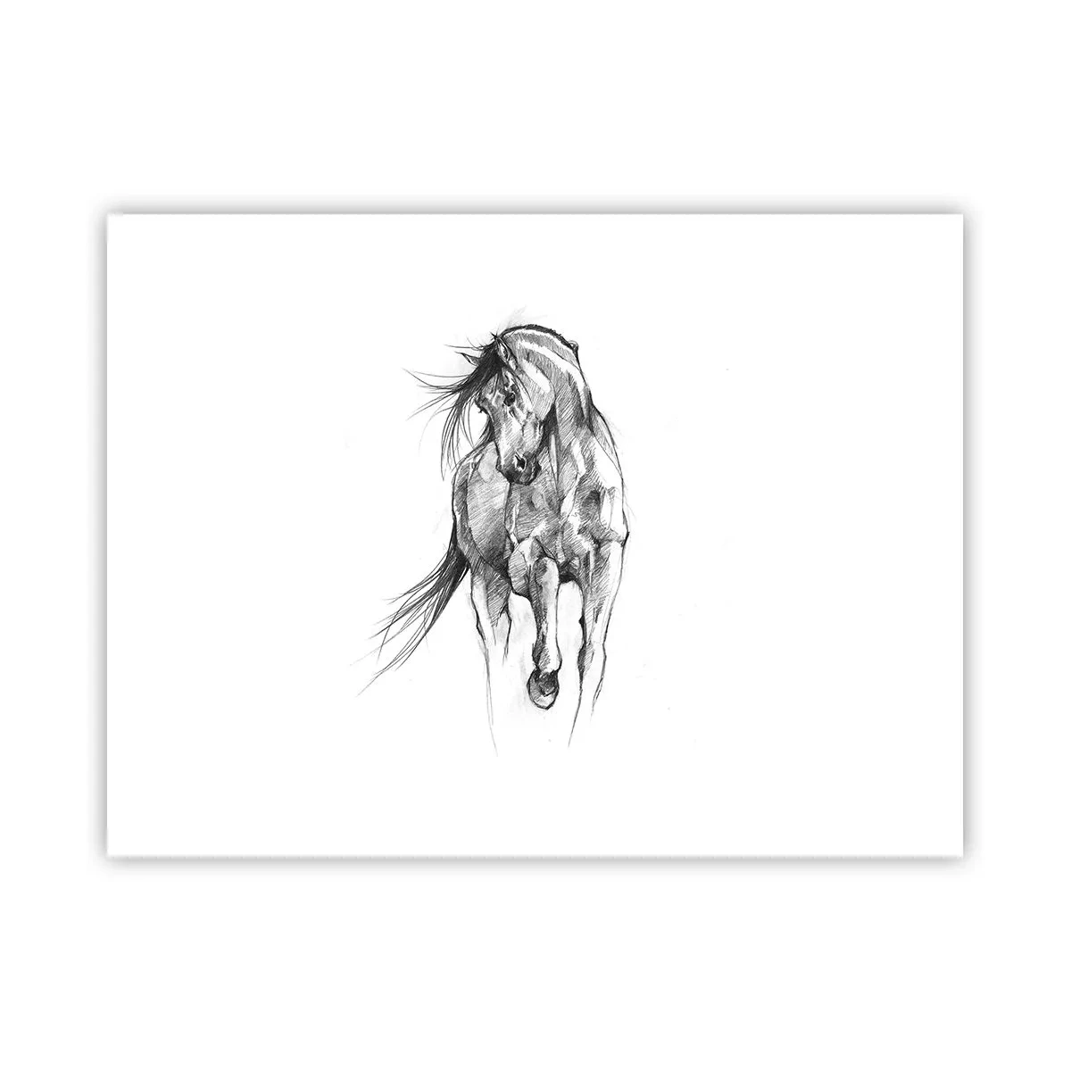 Poster - Im anmutigen Trab - 40x30 cm