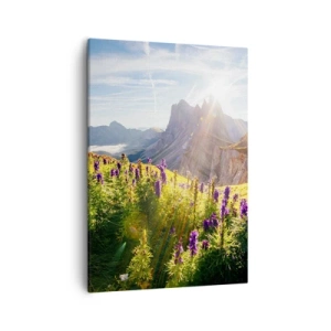 Bild auf Leinwand - Leinwandbild - Berglandschaft mit Blumen im Licht der aufgehenden Sonne - 50x70cm - Das geheime Leben der Kräuter - Moderne Wanddekoration für Wohnzimmer und Schlafzimmer ARTTOR