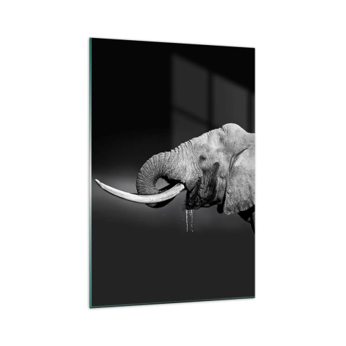 Glasbild - Bild auf glas - Schwarz-Weiß-Porträt eines Elefanten im Profil - 70x100cm - Ja, gut jetzt - Moderne Wanddekoration für Wohnzimmer und Schlafzimmer ARTTOR