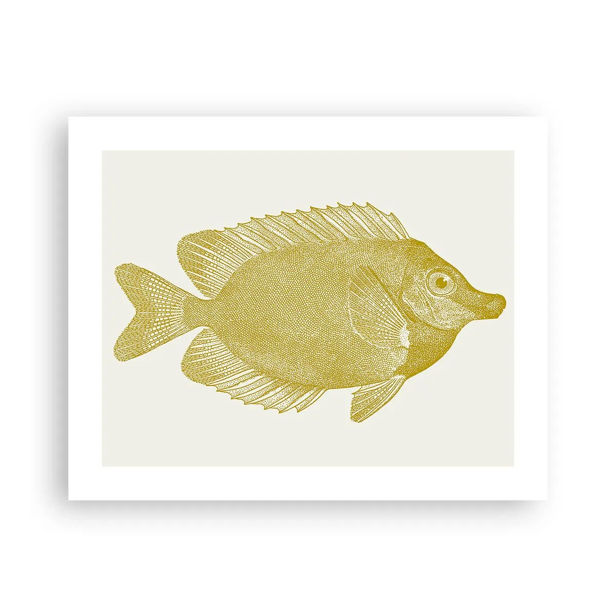 Poster - Fisch und das war’s - 50x40 cm