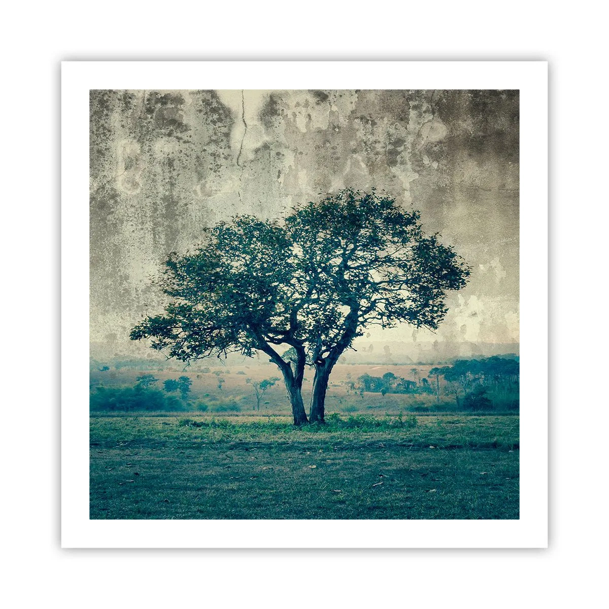 Poster - Ein Apfelbaum auf blauem Feld? - 60x60 cm