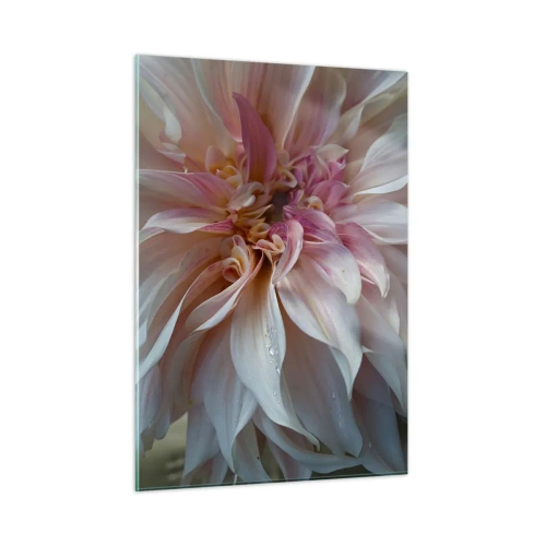 Glasbild - Bild auf glas - Nahaufnahme einer rosa und cremefarbenen Blume mit Wassertropfen - 50x70cm - Blühende Frische - Moderne Wanddekoration für Wohnzimmer und Schlafzimmer ARTTOR