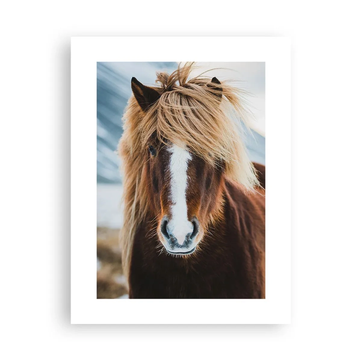 Poster - Spürst du die Freiheit? - 30x40 cm