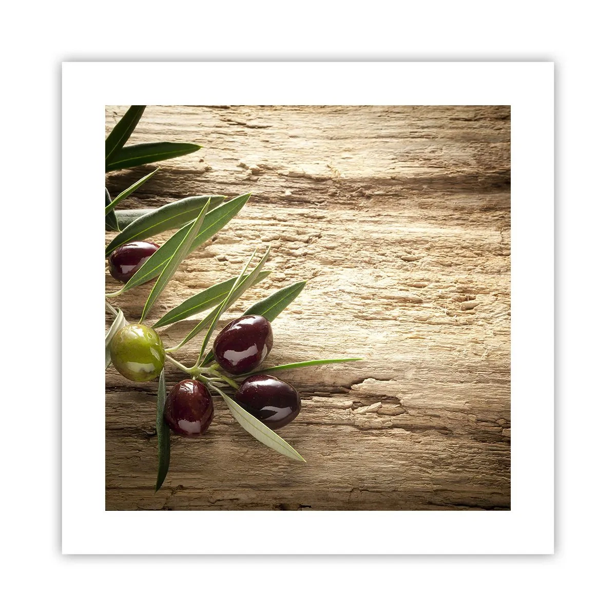 Poster - Direkt aus der Natur - 40x40 cm