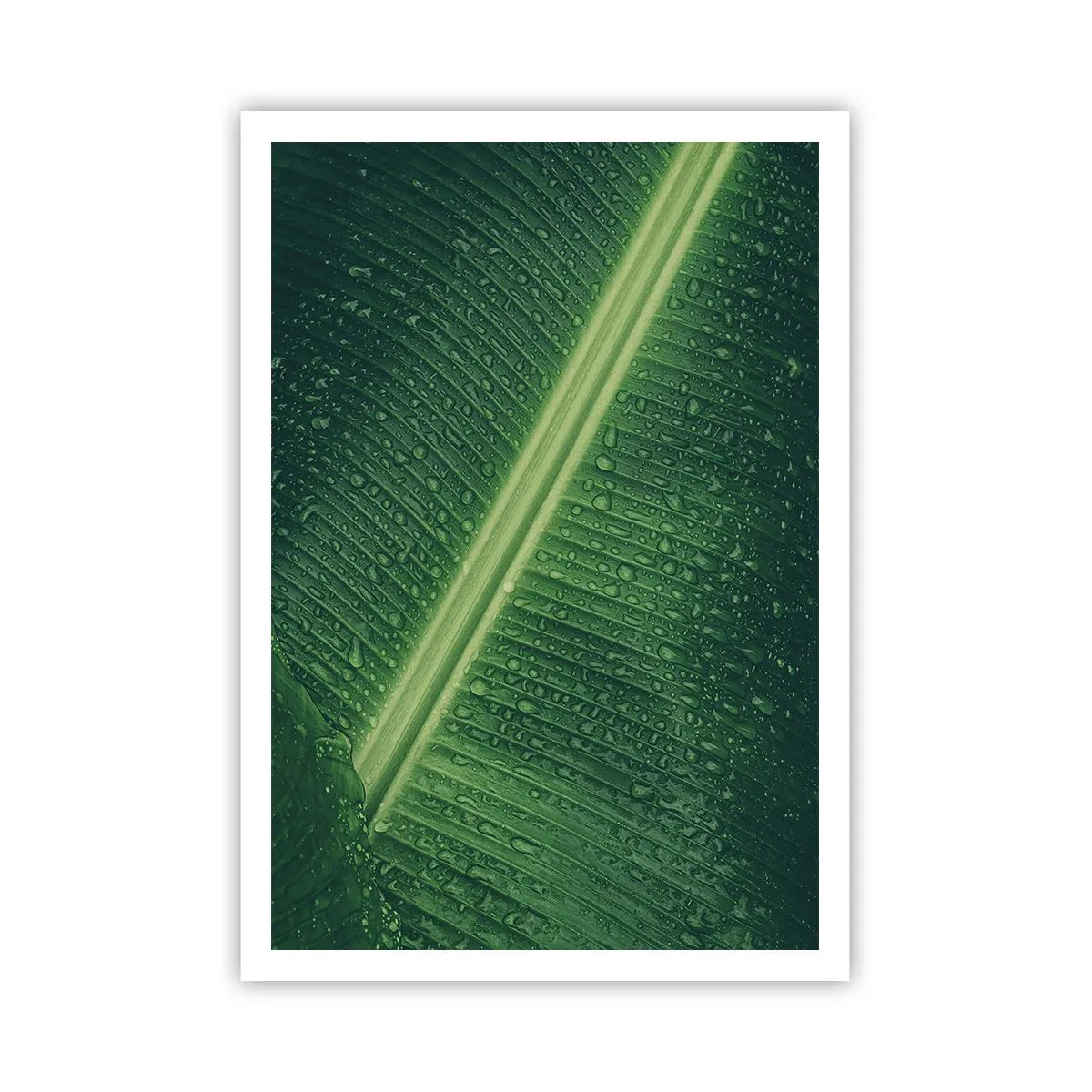 Poster - Die Struktur des Grüns - 70x100 cm
