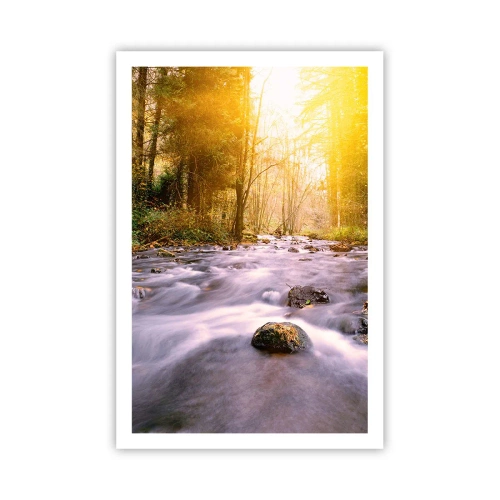 Poster - Malachit im Silber- und Goldrahmen - 61x91 cm