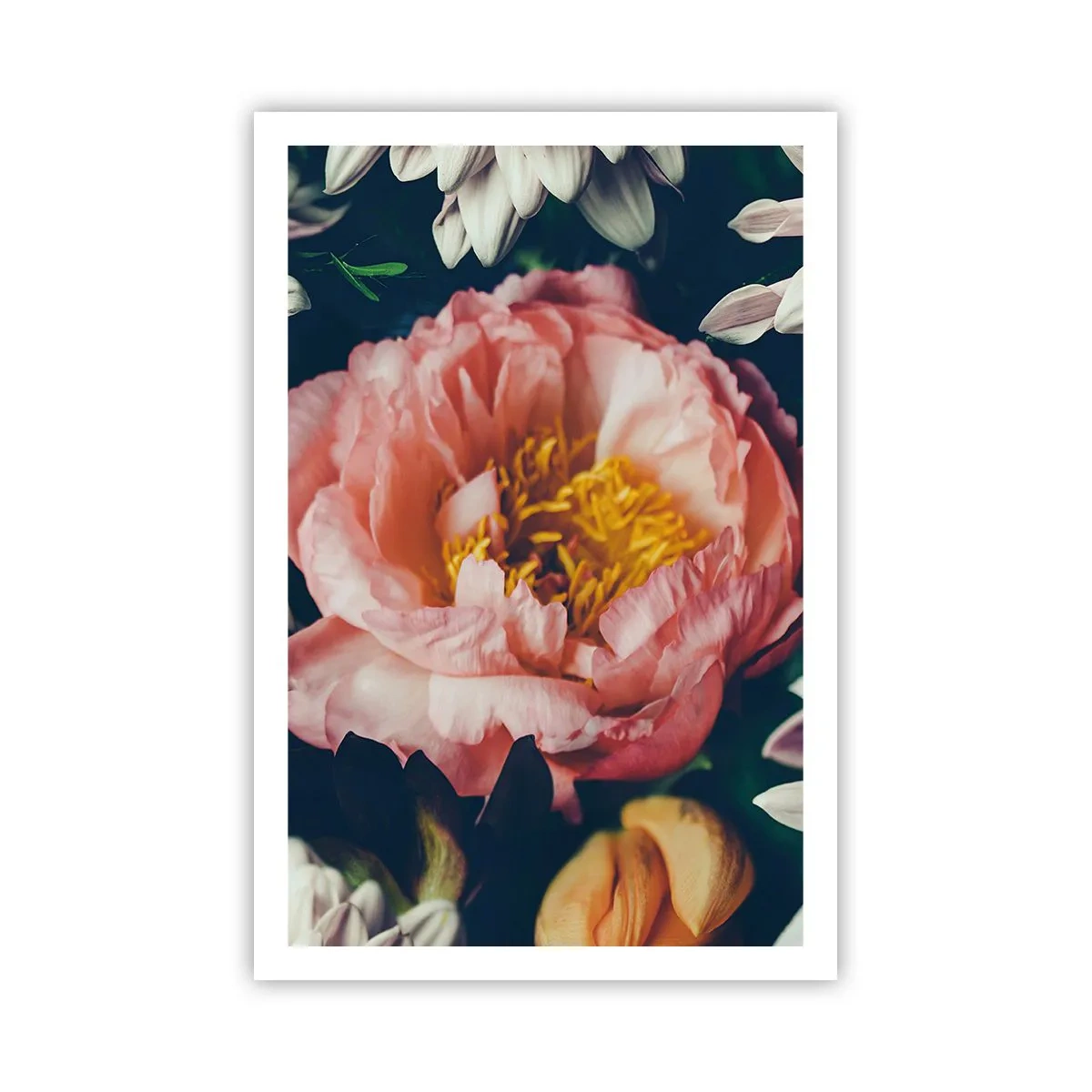 Poster - Mit barocker Pracht - 61x91 cm