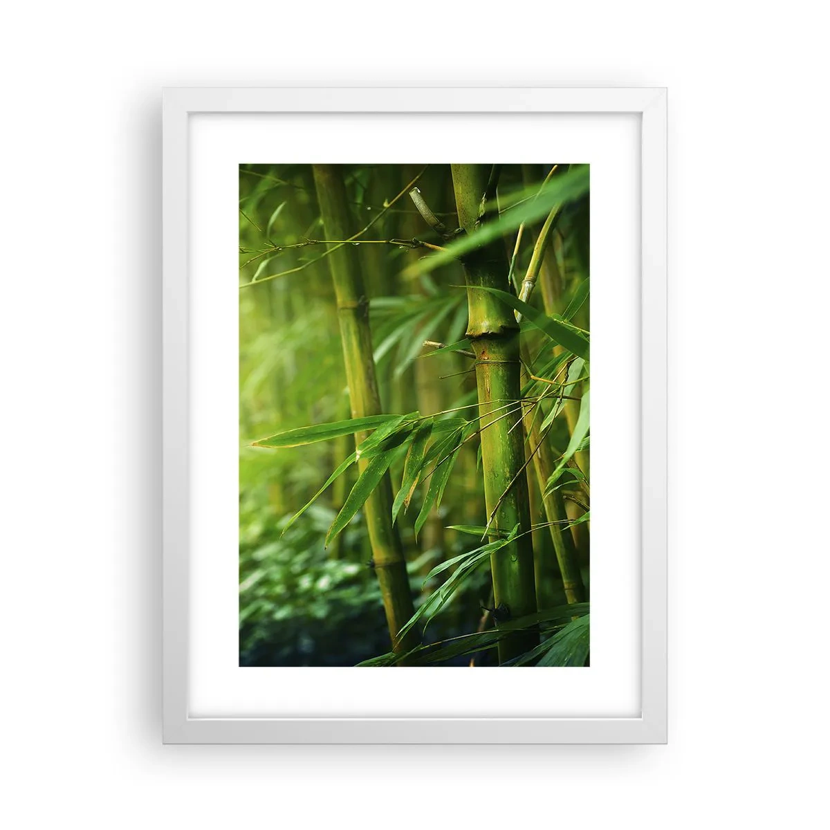 Poster in einem weißen Rahmen - Lerne Grün selbst kennen - 30x40 cm