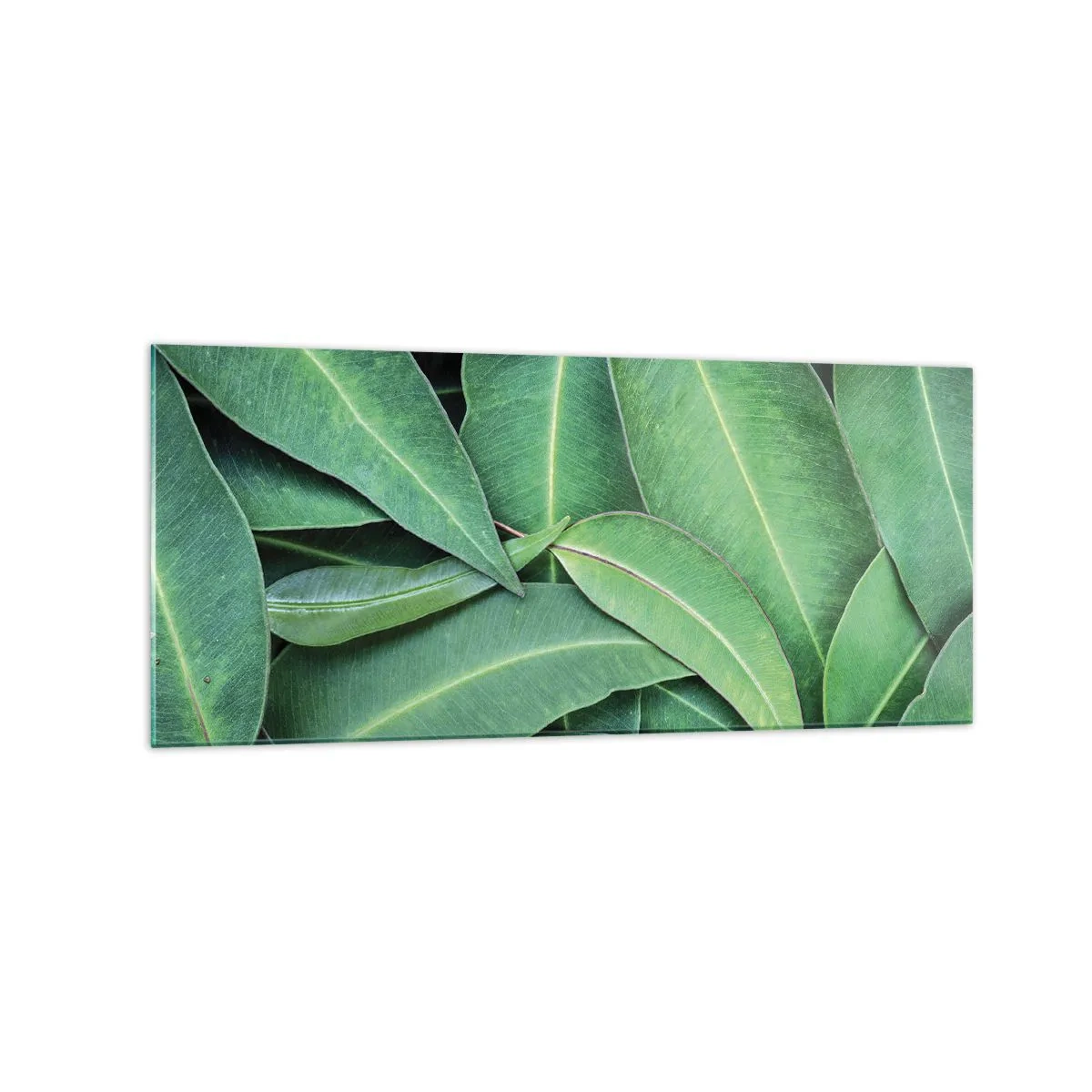 Glasbild - Bild auf glas - Nahaufnahme von grünen Blättern, die ein natürliches Muster erzeugen - 120x50cm - Saftig und frisch - Moderne Wanddekoration für Wohnzimmer und Schlafzimmer ARTTOR