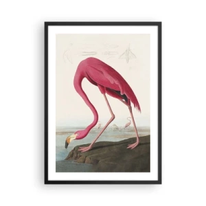 Poster in einem schwarzem Rahmen - Ein rosa Flamingo vor einer natürlichen Landschaft - 50x70cm - Erstaunliche Kreation - Moderne Wanddekoration für Wohnzimmer und Schlafzimmer ARTTOR