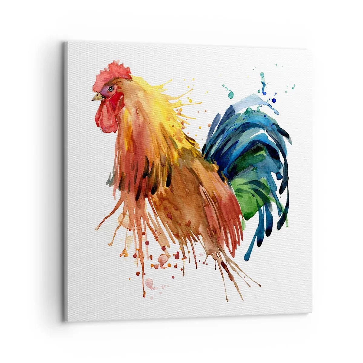 Bild auf Leinwand - Leinwandbild - Königliches Gewand, königlicher Stolz - 50x50 cm