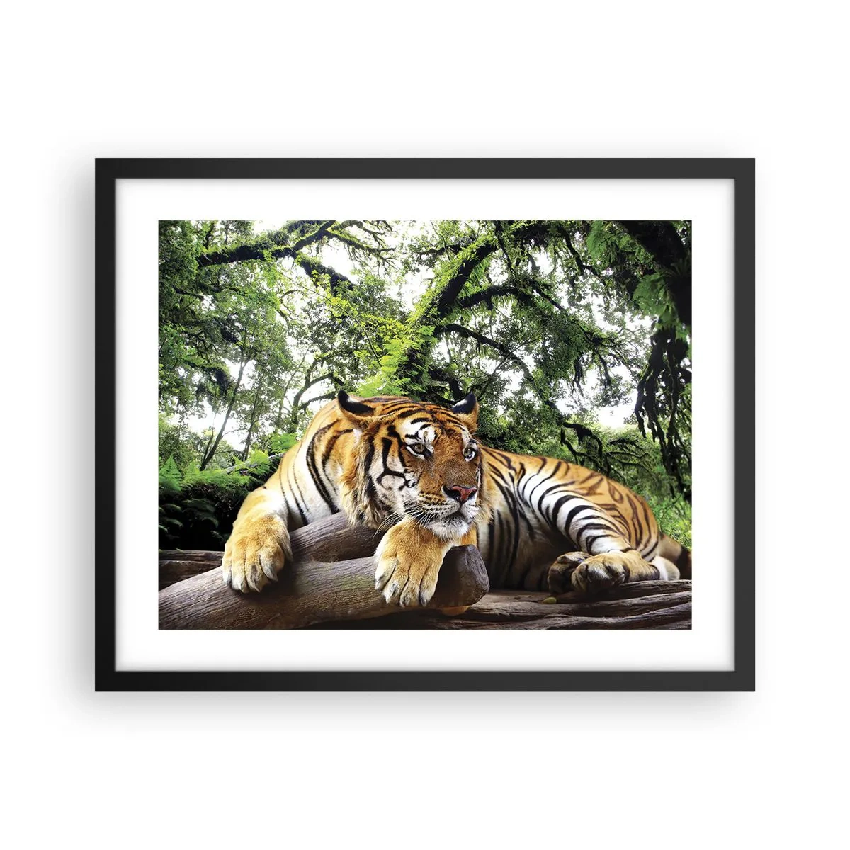 Poster in einem schwarzem Rahmen - Hochachtungsvoll - 50x40 cm