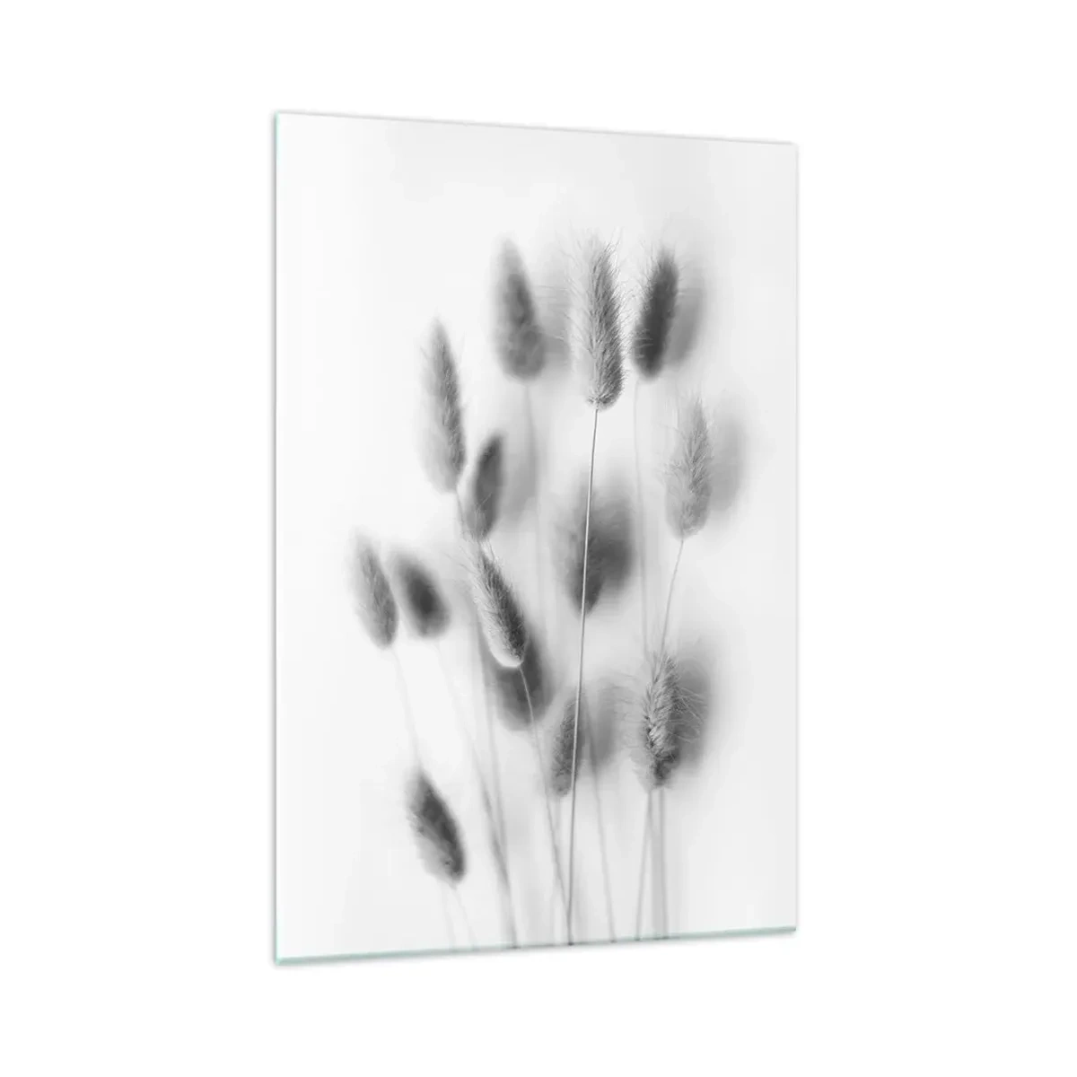 Glasbild - Bild auf glas - Zarte Gräser in Grautönen auf weißem Hintergrund - 70x100cm - Eure flauschige Grashoheit - Moderne Wanddekoration für Wohnzimmer und Schlafzimmer ARTTOR