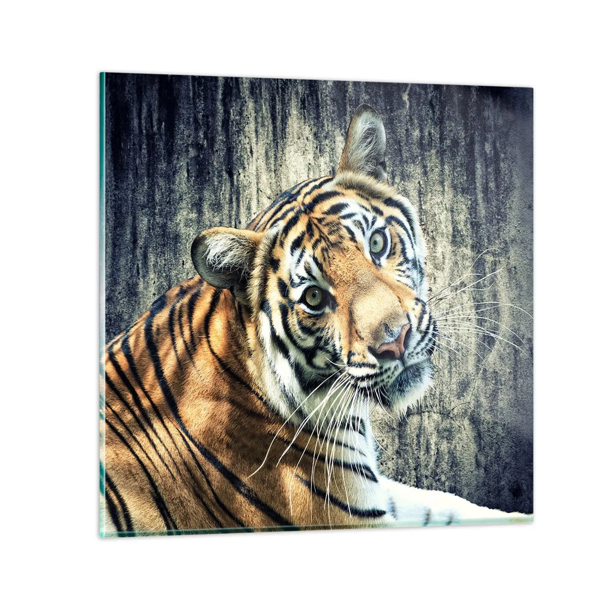 Glasbild - Bild auf glas - Portrait in Lichtstrahlen - 60x60 cm